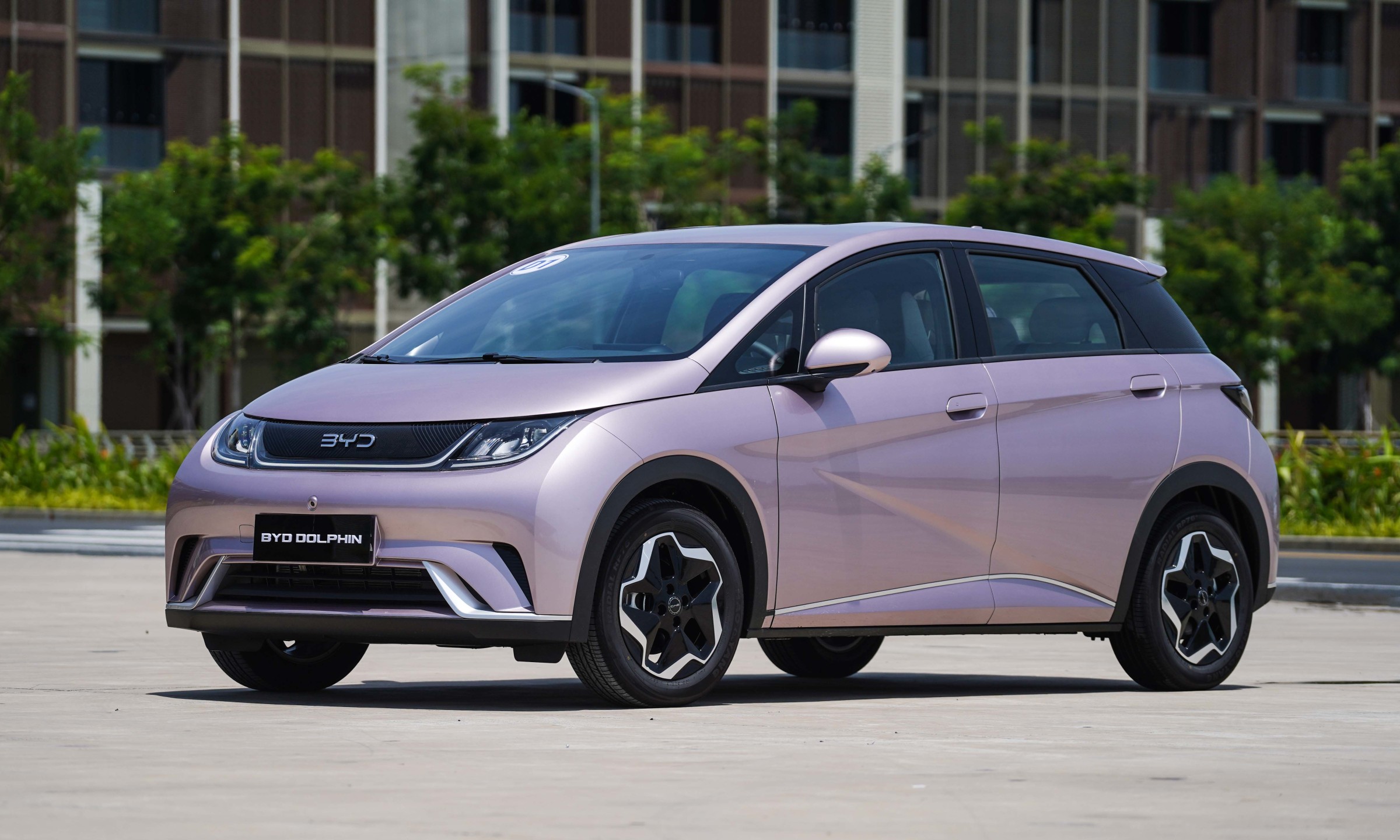 gioi-thieu-byd-dophin